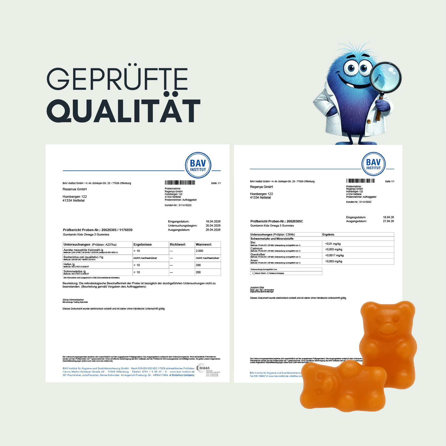 Basis-Set Gummies Kinder